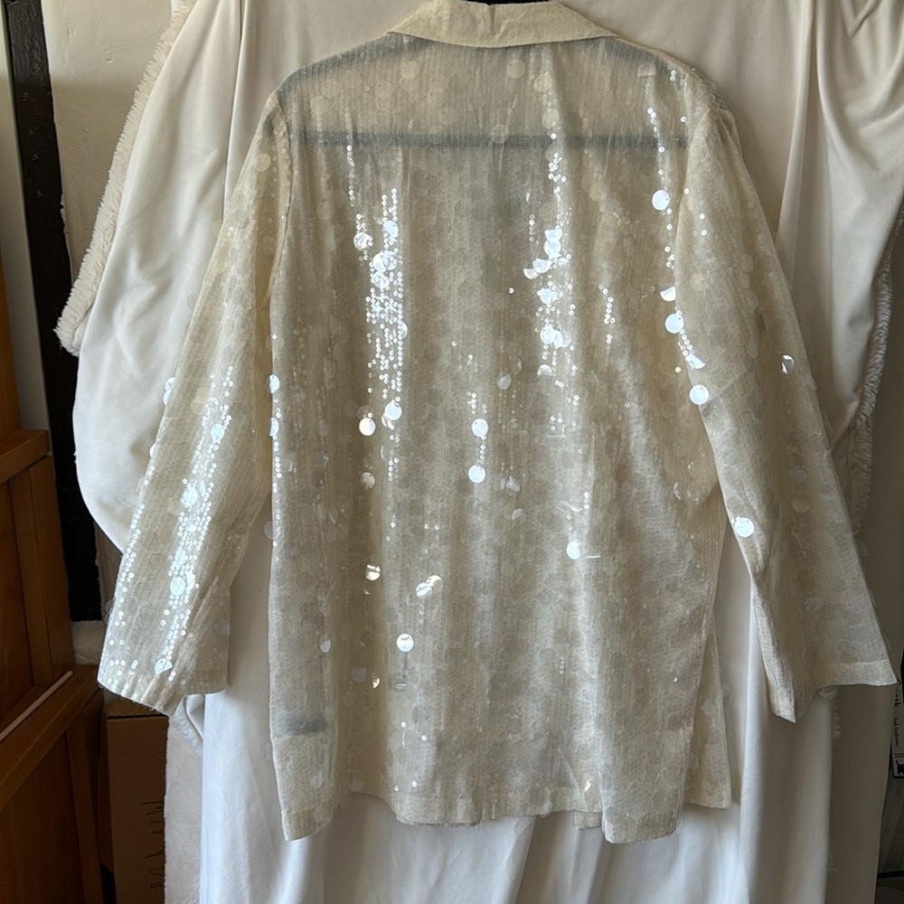 Zara Cream Sequin Blazer Jacket - Picture 8 of 11